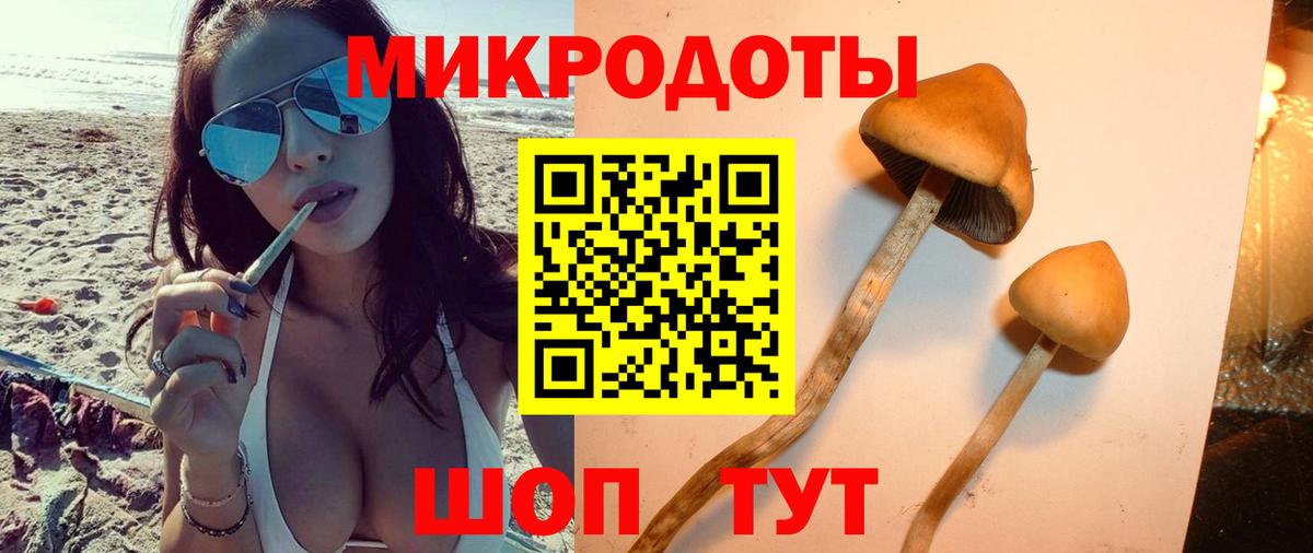 Учалы  Псилоцибиновые грибы GOLDEN TEACHER  Вход с VPN  Псилоцибиновые грибы Cubensis 